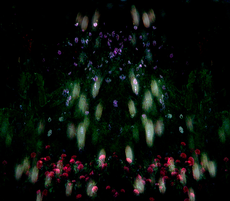 WinterGarden (vi)